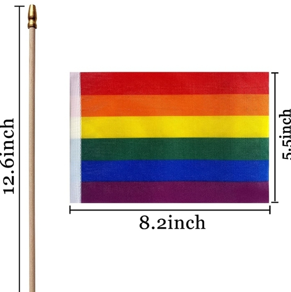 LGBTQ+ MINI PRIDE FLAGS / Free item w/ bundle - Picture 2 of 4